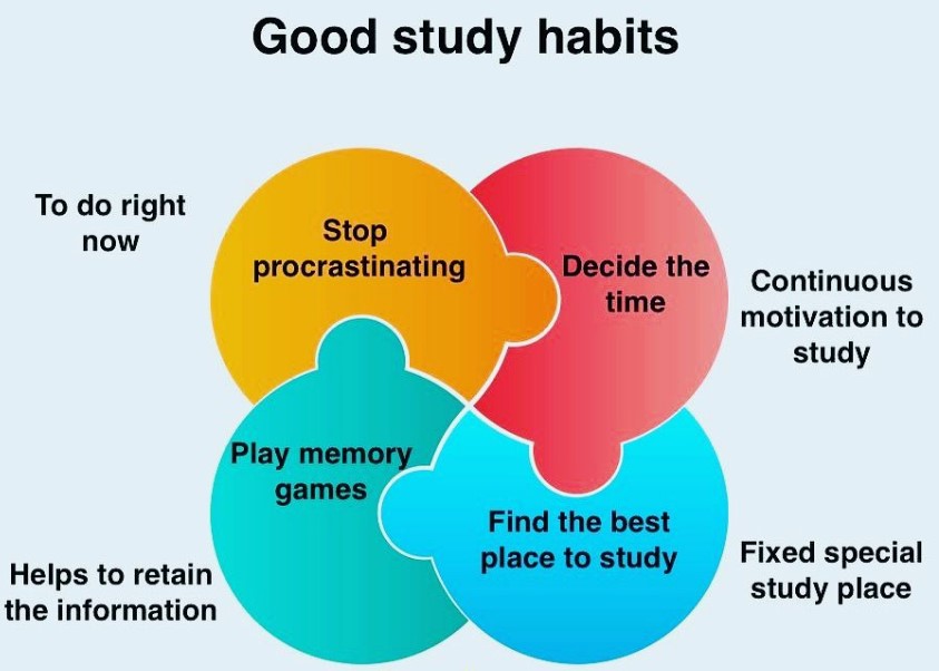 good study habits 
