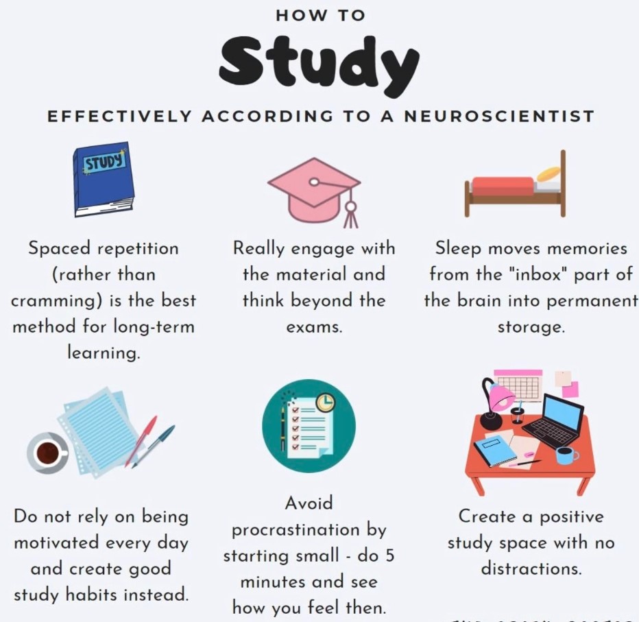 how to study effectively as a student