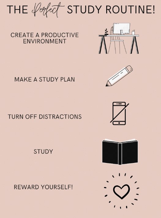 Perfect Study Routine