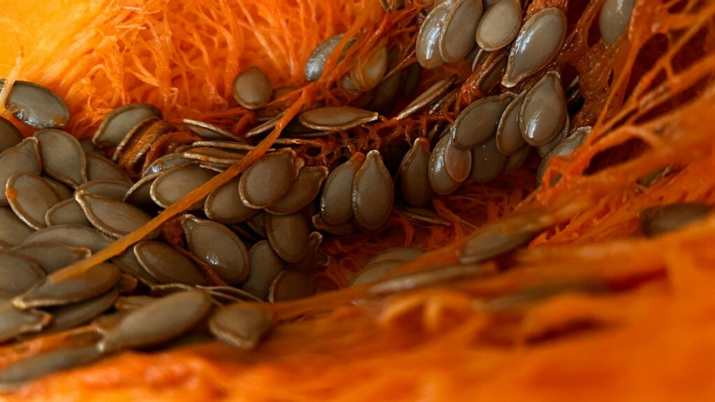 Best Foods for Students to Boost Brain Power | Pumpkin Seeds