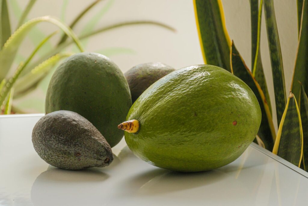 Best Foods for Students to Boost Brain Power | Avocados
