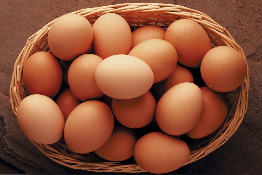 Best Foods for Students to Boost Brain Power | Eggs