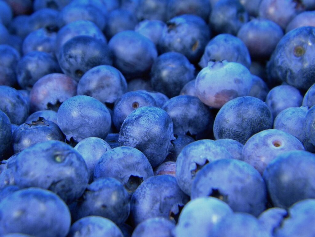 Top Brain Boosting Foods for Students | Blueberries