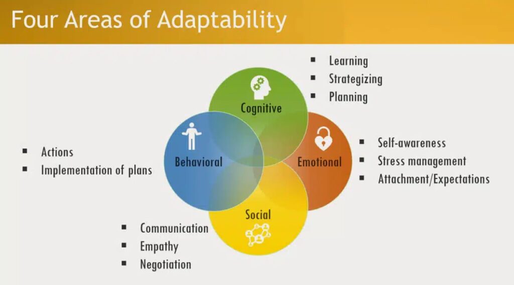 four areas of adaptibility